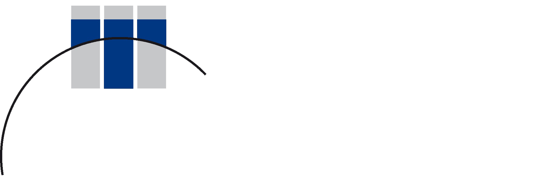 Logo: Mainfränkische Treuhand GmbH u. Co. KG Steuerberatungsgesellschaft
